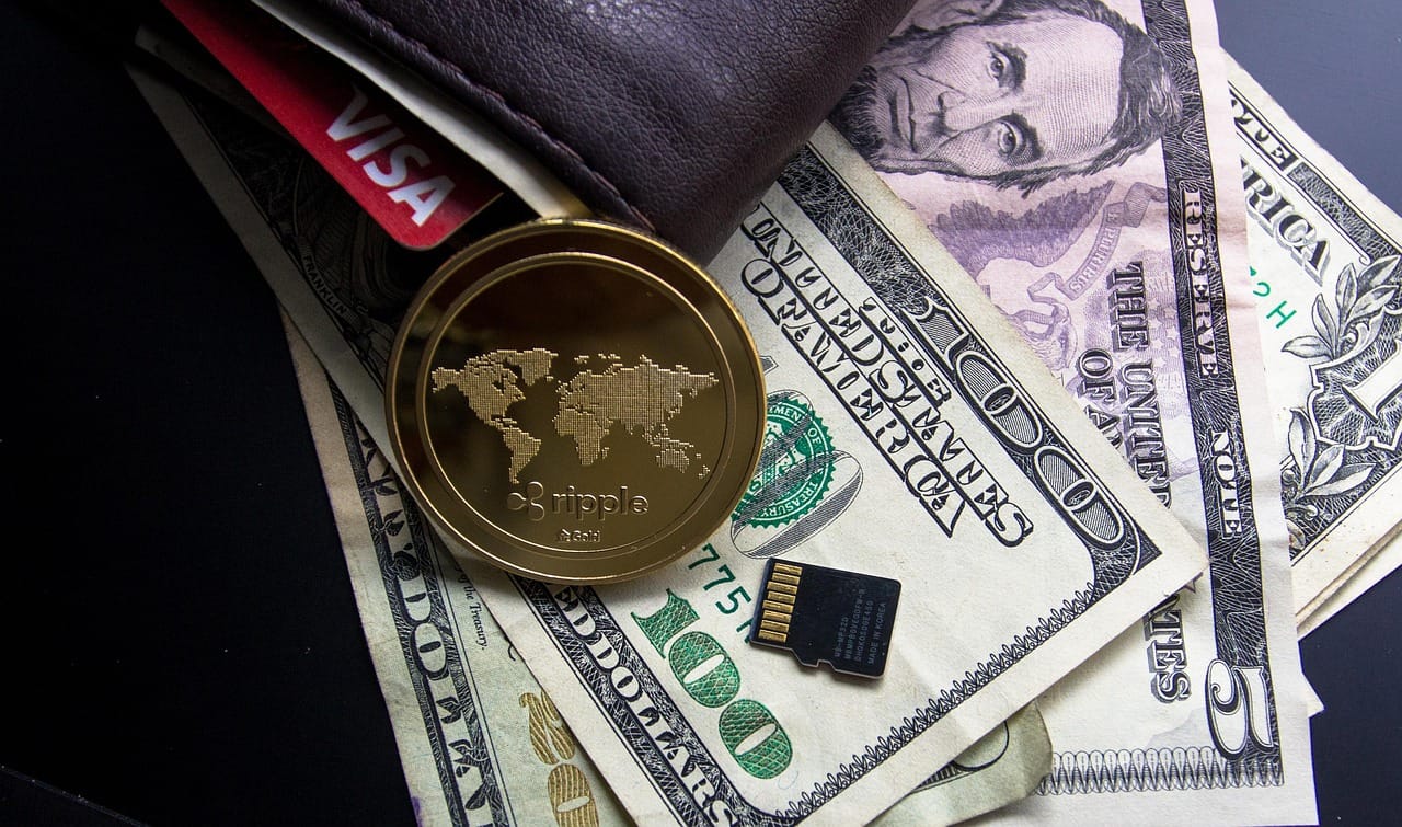 Visa Stripe blockchain payments stablecoin institutional